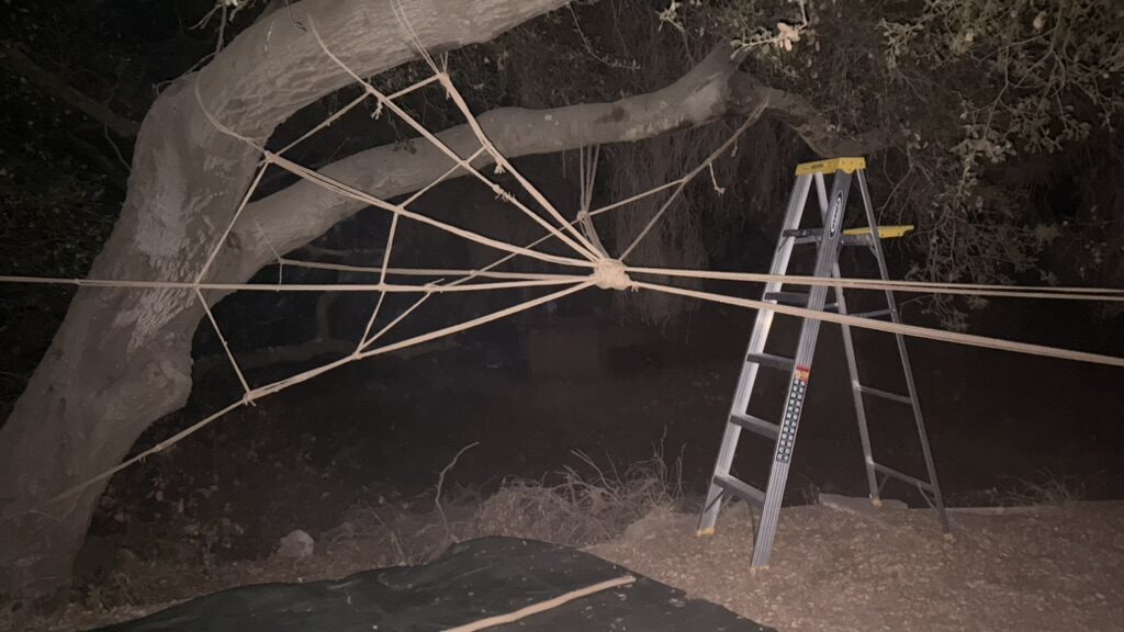 Rope web in progress tied to a tree with a ladder in frame