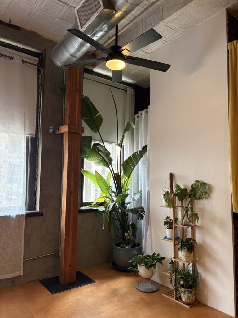 Studio Plants Downtown Los Angeles