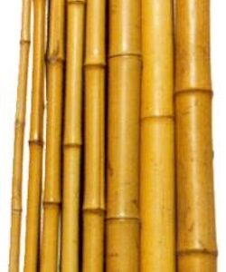 yellow bamboo poles of various diameters