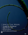 Single Tail Whips with GoodHurt
